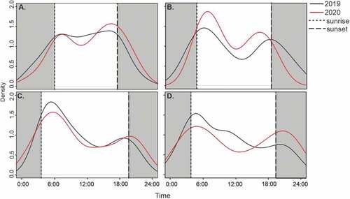 Figure 1. Activity pattern of roe deer in urban forests of Warsaw (a) in March 2019 and 2020, (b) 1–20 April in 2019 and 2020 (national lockdown), (c) 21 April–30 June in 2019 and 2020 (post-lockdown), and (d) July–August in 2019 and 2020 (summer holiday). Gray shaded areas represent night-time (from midnight until sunrise and from sunset to midnight).