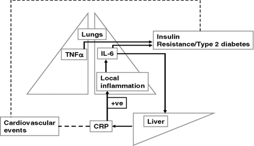 Figure 2 Potential link between airway inflammation and disease co-morbidities in COPD.