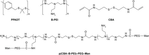 Figure 7 Thioketal and PEI-based nanoparticulate delivery system for siRNA delivery in IBD treatment.Notes: Chemical structures of PPADT, B-PEI, CBA, and p(CBA–B-PEI)–PEG–Man.Abbreviations: B-PEI, branched-polyethylenimine; CBA, cystamine bisacrylamide; IBD, inflammatory bowel disease; Man, mannose; PEG, polyethylene glycol; siRNA, short interfering RNA.