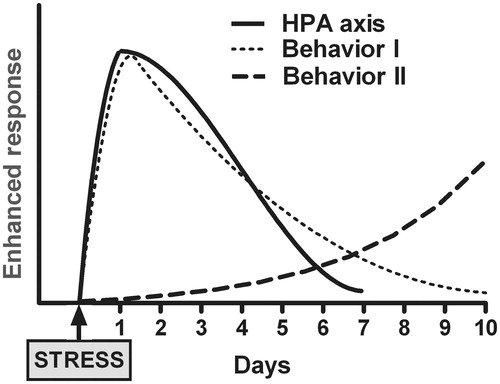 Figure 1. Exposure to severe emotional stressors can induce HPA and behavioral sensitization. HPA sensitization is maximally observed on the day after the stressors and can persist for up to 2 weeks depending on the characteristics of the stressor and the individual susceptibility (solid line). Behavioral consequences of stressors belong to two categories: (i) one that showed a maximum very soon after stressor exposure to progressively vanishing after that (Behavior I; dotted line); and (ii) another that are fully manifested long after stressor exposure showing some kind of incubation process (Behavior II; dashed line). Note that behavioral sensitization can be unmasked by superimposing a brief stressor, appears to be longer lasting than HPA sensitization and is usually reflected in different types of tests related to fear conditioning and anxiety-like behavior (i.e. elevated plus-maze, acoustic startle response).