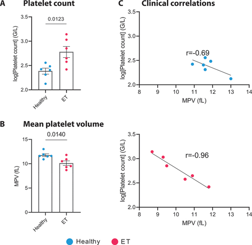 Figure 2. Platelet count and correlation with mean platelet volume in ET patients and healthy controls. a. Bar plot illustrating the platelet count ± SEM in healthy donors (blue) and ET patients (red), (n = 6). Data were log-transformed to address the zero-limit issue, followed by an unpaired t-test (p = .0123). a. Bar plot illustrating the mean platelet volume ± SEM in healthy donors (blue) and ET patients (red), (n = 6). Unpaired t-test (p = .014). C. Correlation plots depicting the relationship between the logged platelet count (G/L) and Mean Platelet Volume (MPV, fL) for both healthy donors and ET patients. For healthy donors, a Pearson correlation coefficient (r) of − 0.6963 was observed (95% confidence interval: −0.9630 to 0.2706; p = .1268). In contrast, ET patients exhibited a stronger negative correlation, with an r of − 0.9654 (95% confidence interval: −0.9963 to − 0.7104; p = .0018), indicating a significant inverse relationship between platelet count and MPV in this patient group. ET: essential thrombocythemia.