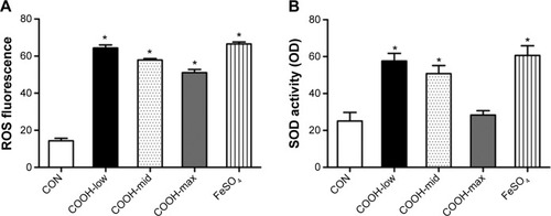 Figure 3 Effects of dispersed single-walled carbon nanotubes on oxidative stress.Notes: (A) Cells (2×104 cells/well in 96-well plates) were treated with 1 μg/mL swCNTs for 24 hours. After treatment, the cells were stained with 10 μM DHR 123 for 30 minutes. Production of ROS was determined using DHR 123 staining. The fluorescent intensity of DHR was recorded using a fluorescent plate reader. (B) Cells (2×106 cells/well in 6-well plates) were treated with 1 μg/mL swCNTs for 24 hours. Superoxide dismutase (SOD) activity was determined using a tetrazolium-based SOD assay kit. FeSO4 (100 μM) was used as a positive control. The results are presented as mean ± SE of three independent experiments. *P<0.05 significantly different from control.Abbreviations: CON, control; DHR, dihydrorhodamine; ROS, reactive oxygen species; SE, standard error; SOD, superoxide dismutase; swCNT, single-walled carbon nanotube.