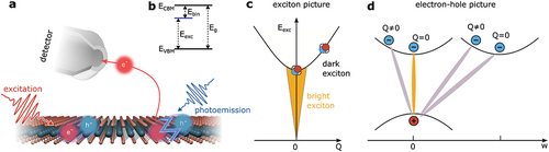 Figure 1. Description of excitons and their detection in a time- and angle-resolved photoemission spectroscopy experiment. (a) Schematic illustration of the exciton formation and detection process. A pump laser pulse (red) is used to excite optically bright excitons that reside in a single TMD layer. In the photoemission process, the Coulomb correlation between the electron and the hole is broken, the single-particle electron is detected with the photoelectron analyzer and the single-particle hole remains in the sample. (b) Schematic energy level diagram indicating the single-particle valence band maximum (or HOMO) and conduction band minimum (or LUMO) at binding energies EVBM and ECBM, respectively, that are separated by the single-particle band gap energy Eg. In this picture, the binding energy Ebin of a two-particle exciton can be defined by comparing the exciton energy Eexc with the single-particle band gap Eg. (c) In the exciton picture (shown for w=0), Coulomb correlated electron-hole pairs are described based on EquationEquation (2)(2) Eexc(Q)=Eg−Ebin+Q22M.(2) and have a parabolic dispersion with regard to their center-of-mass momentum Q. Within the light cone (orange area, vanishing Q), excitons are labeled to be optically bright because they can be excited by light and can decay in a radiative process. In contrast, excitons with a finite Q are termed optically dark. (d) A related pictorial description of excitons can be drawn in the electron-hole picture. Here, in addition, momentum-indirect excitons are sketched where the electron- and the hole-component are separated by momentum w and reside in different valleys of the Brillouin zone. Panel a is adopted from ref.  [Citation53] under Creative Commons Attribution License 4.0 (CC BY). Panels c,d are adopted from ref.  [Citation79].
