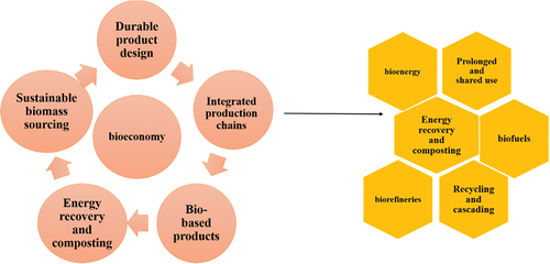 Figure 6. The concept of bioeconomy in waste management.