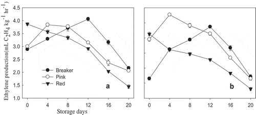 Figure 3. Ethylene production rate of “TY Megaton” (A) and “Yureka” (B) tomato cultivars as affected by maturity stages during the 20 days of storage at 12°C and 85 ± 5% RH. Each data point is the mean of five sample replicates±standard error.Figura 3. Tasa de producción de etileno de los cultivares de tomate “TY Megaton” (A) y “Yureka” (B) en relación con las etapas de maduración durante 20 días de almacenamiento a 12°C y a una RH de 85 ± 5%. Cada dato representa la media de cinco réplicas de la muestra ± error estándar.
