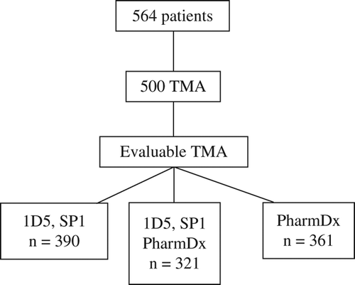 Figure 1. Flowchart of patients.