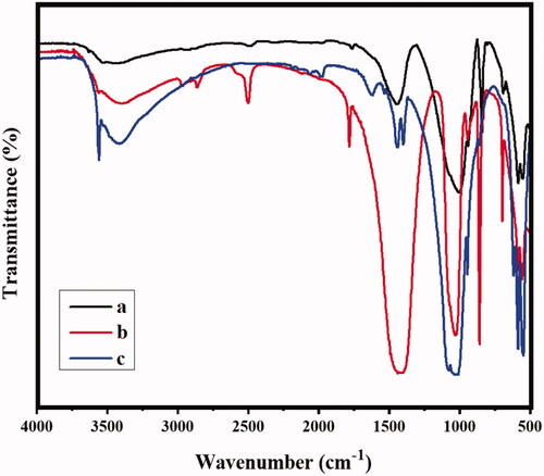 Figure 1. The analysis of molecular interaction and chemical structure by the method of FTIR spectral technique; (a) MONPs, (b) MONPs@RV, and (c) GCS-MONPs@RV samples.