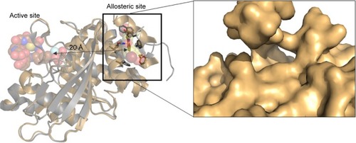 Figure 9 The location of catalytic and allosteric pockets on the PTP1B structure along with their co-crystallized ligands.