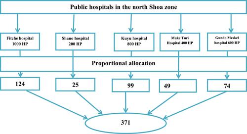 Figure 1 Schematic presentation of sample size allocation in hospitals in the North Shoa Zone, Oromia region, Ethiopia, from May 5, 2020 to June 5, 2020 (n = 360).