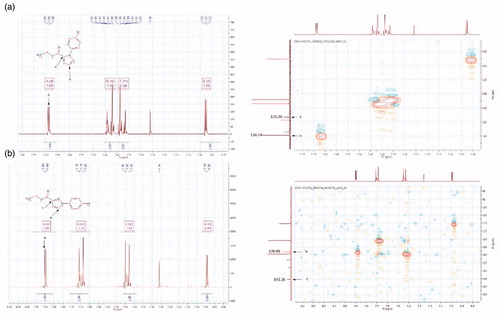 Figure 2. Enlargement of the 1H NMR and HMQC NMR of compounds 12d (a) and 13d (b).