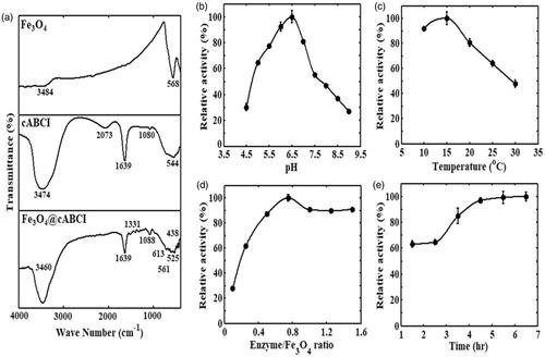 Figure 3. (a) FTIR spectra for pristine Fe3O4 nanoparticle, free cABCI enzyme and Fe3O4@cABCI. Influences of (b) solution pH; (c) incubation temperature; (d) cABCI-to-Fe3O4 mass ratio; and (e) incubation time of cABCI and Fe3O4 particles on immobilization efficiency of chondroitinase ABCI enzyme.