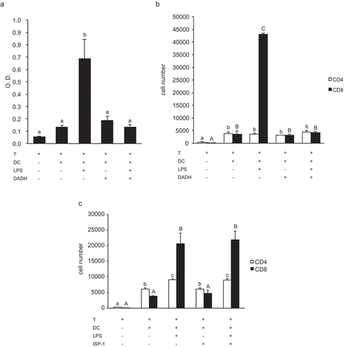 Figure 3. Suppressive effect of DADH on T cell proliferation activity of DCs.(a) BrdU uptake into T cells co-cultured with DADH-treated BMDCs.(b) Number of CD4+ T cells and CD8+ T cells co-cultured with DADH-treated BMDCs.(c) Number of CD4+ T cells and CD8+ T cells co-cultured with ISP-1-treated BMDCs.Open bars, number of CD4+; closed bars, number of CD8+ (B and C).BMDCs were pre-incubated with DADH (a and b) or ISP-1 (c) for 42 h and incubated for an additional 6 h in the presence or absence of LPS. Number of T cells was determined by flow cytometric analysis. The results are shown as means ± S.D.s (n = 3). Similar results were obtained in two other independent experiments. Means indicated by different small letters (a), or small letters for CD4 and capital letters for CD8 (b and c) are significantly different, based on Tukey-Kramer (p < 0.05).