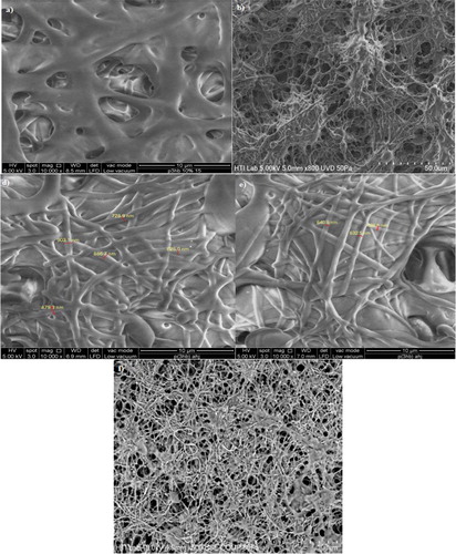 Figure 4. Morphological features of P(3HB) electrospun using 10 w/v % solution at (a) 15 kV and 15 w/v % solution electrospun at (b) 15 kV; (c) 18 kV; d) 20 kV, (e) 25 kV and (f) 30 kV at an extrusion of 40 µL/min using CHCl3:DMF (8:2) mixed solvent system.