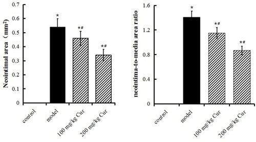 Figure 5 Statistical analysis of data on neointimal area and the neointima-to-media area ratio of carotid artery in each group. The data are represented as mean±s.d. *P<0.05, compared with the control group;#P<0.05, compared with the model group.