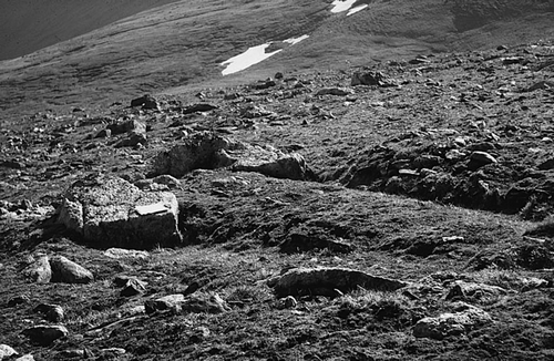 Figure 31 Ploughing boulders on the Fannich Mountains, NW Scotland. These boulders have advanced downslope faster than the surrounding soil, leaving a furrow upslope