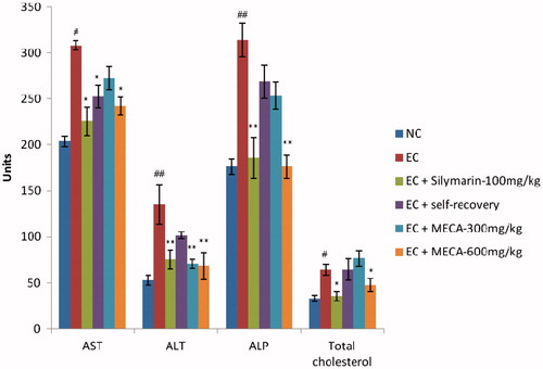 Figure 1. Effect of methanol extract of Cassia auriculata (MECA) roots on serum AST, ALT, ALP and total cholesterol in ethanol-induced hepatotoxic rats. N = 6; Values are mean ± SEM. NC: normal control, EC: ethanol control, AST: aspartate transaminase, ALT: alanine transaminase, ALP: alkaline phosphatase, #p < 0.05, ##p < 0.01 as compared to normal control group. *p < 0.05, **p < 0.01, as compared to ethanol control group. Data analyzed by one-way ANOVA followed by Dunnet’s multiple test for comparison.