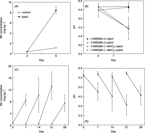 Figure 2  MnO2 solubilization of the medium by regenerated Chengiopanax sciadophylloides plants (A,C) and continuity of the pH lowering (B,D). Data are expressed as the mean ± standard deviation of four replicates.