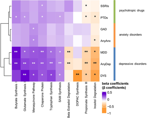 Figure 4. Bacterial gut – brain modules associated with internalizing disorders and psychotropic drugs.