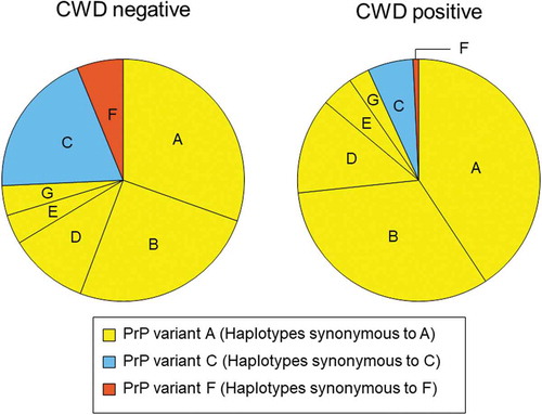 Figure 1. PRNP haplotype frequencies for deer collected between 2002 and 2017 and tested for CWD. Pie charts show frequencies for CWD negative (left) and positive (right) deer that carried PRNP haplotypes A through G. Haplotypes are coloured and arranged based on the encoded protein variants. Haplotypes B, D, E, and G were synonymous to haplotype A and shown in yellow (PrP variant A), haplotype C is in blue (PrP variant C), haplotype F is in orange (PrP variant F). The reduced frequency of PrP variants C and F in positive deer is evident. Rare haplotypes with frequencies <0.01 are not shown.