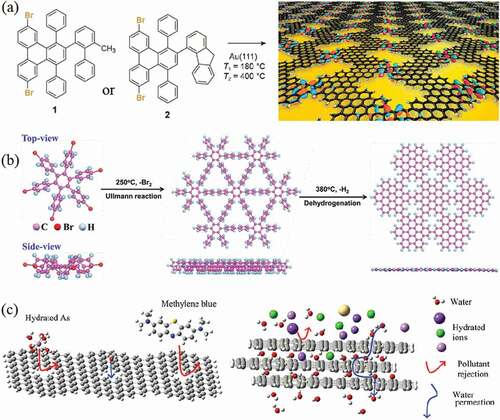 Figure 11. (a) On surface bottom-up synthesis of chevron-type nanoporous graphene from molecular precursors 1 or 2, reproduced with permission from ref [Citation330]. (b) Schematic representation of surface-assist bottom-up synthesis of nanoporous graphene using HBPB as the molecular precursor, reproduced with permission from ref [Citation331]. (c) An illustration of pollutant rejection by nanoporous graphene for molecules larger than the pore size. (d) Rejection of various pollutant through nanopores and interlayer blocking in multilayer nanoporous graphene, at the same time easy permeation of water molecules.