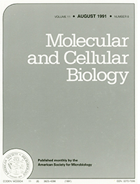 Cover image for Molecular and Cellular Biology, Volume 11, Issue 8, 1991