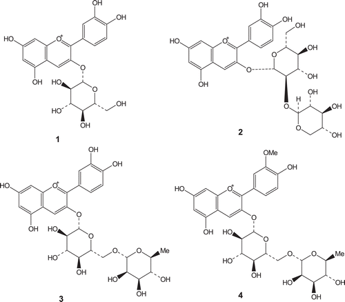 Figure 1.  Structures of. anthocyanins, cyanidin 3-glucoside (1), cyanidin 3-sambubioside (2), cyanidin 3-rutinoside (3), and peonidin 3-rutinoside (4).