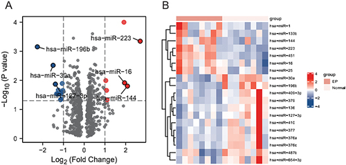 Figure 2 Differentially expressed miRNAs. (A) Volcano map showing the miRNAs molecules obtained from the differential analysis of the GSE44731 dataset, red represents upregulated genes and blue represents downregulated genes. (B) Heat map showing the miRNA molecules obtained from the differential analysis of the GSE44731 dataset.
