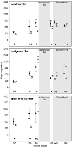 Figure 3. Mean potential flight ranges of adults (black dots) and juveniles (white dots) of the reed, sedge, and great reed warbler covered from ringing stations, arranged from the northernmost (left) to the southernmost (right). RA – Rakutowskie, KK – Kalimok, KU – Kuscenneti, BR – Burullus, WR – Wadi El Rayan, SG – Saluga Ghazal. Birds with fat mass = 0 were excluded. Grey rectangles indicate the position of two large ecological barriers: the Mediterranean Sea and the Sahara desert. Average values are based on untransformed data to illustrate the potential ability to overcome the distance and barriers presented. Vertical lines show the 95% confidence intervals. The results of the statistical comparison with t-test between mean flight distances (after Box-Cox transformation) covered by adults and juveniles from each station are given at the bottom of each chart: *significance at p < 0.05; ns - not significant (t-test).