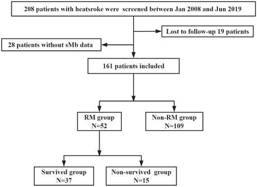 Figure 1. Flowchart of all excluded and included patients.