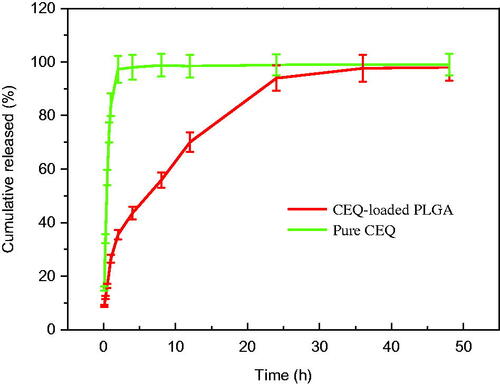 Figure 2. Cumulative CEQ release from CEQ-PLGA-MS in PBS (pH 7.4). In vitro release kinetics were obtained at 37 ± 1 °C by dialysis. CEQ release from stock solution was used as control. CEQ loading was 18.3 ± 1.3%. Data as mean ± SD, n = 3.