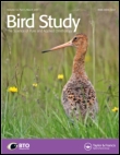 Cover image for Bird Study, Volume 57, Issue 4, 2010