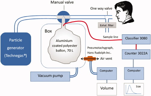 Figure 1. Particle generation and exposure setup. The Indium was manually loaded in the modified Technegas generator. After generation, the vacuum pump was started sucking the aerosol into the Mylar balloon. After checking particle sizes via the sampling line, the manual valve was turned, and inhalations started and quantified by the pneumotachograph.