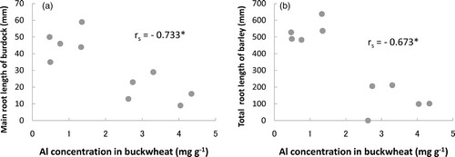 Figure 3. The relationships between the aluminum (Al) concentration in the buckwheat and the root length of burdock or barley: (a) burdock and (b) barley. *P < 0.05.