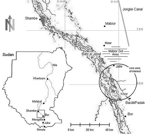 Fig. 1 Overview of the assessment area; the model was set up between Mongalla and Shambe, and the image shows main channels and lagoons in this area. The core area of interest, which has been assessed in detail, is located on the right bank between Baidit/Padak and Jalle.