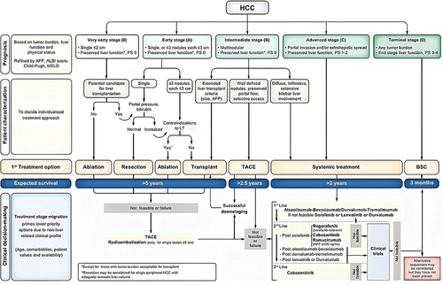Figure 1 Barcelona Clinic Liver Cancer (BCLC) staging, treatment strategy, and prognosis in 2022. Reproduced from Reig M, Forner A, Rimola J, et al. BCLC strategy for prognosis prediction and treatment recommendation: the 2022 update. J Hepatol. 2022;76(3):681–693. © 2021 European Association for the Study of the Liver. Published by Elsevier B.V. All rights reserved.Citation15