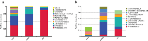 Figure 4. Microbial composition of each sample based on 16S rRNA genes. (a) Each bar represents the average relative abundance of each phylum in the broiler house’s entry, middle, and rear; (b) Each bar represents the average relative abundance of each genus of gut microbiota in the entry, middle, and rear of the broiler house.