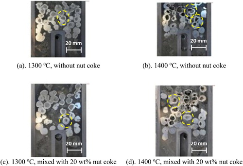 Figure 1. Photographs of the sample bed quenched from high temperatures [Citation8]. Encircled pellets are selected for detail analysis.