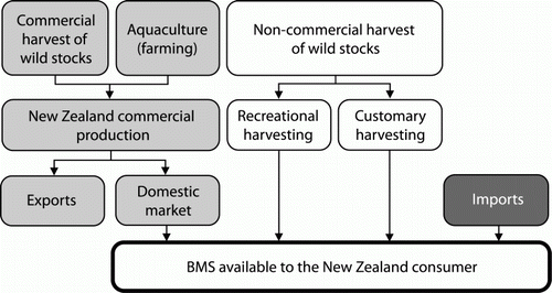 Figure 1  Sources of bivalve molluscan shellfish (BMS) available to the New Zealand consumer.