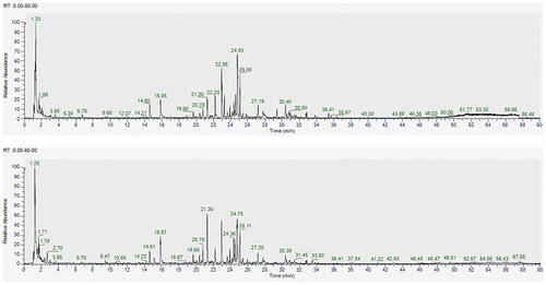 Figure 2 Total chromatograms of Daesiho-tang using Orbitrap-HRMS analysis.