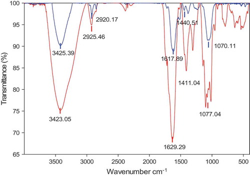 Figure 3. FT-IR spectra of HLE (red) and Ag-NPs synthesized from HLE (blue).HLE: aqueous Houttuynia cordata leaf extract.Figura 3. Espectro FT-IR de HLE (rojo) y Ag-NPs sintetizada de HLE (azul).HLE: extracto acuoso de hojas de Houttuynia cordata.