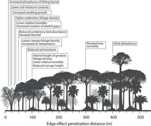 Figure 1. Edge effects at the margins of rainforest fragments, displaying the distance into the forest fragment each effect is felt (data from Laurence et al. Citation2002).