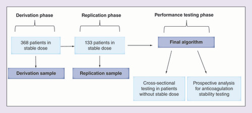 Figure 1.  Analytical design: derivation, replication and performance testing phases.