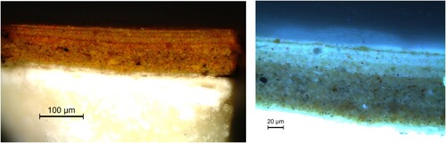 Figure 12. Cross-section of a sample from flesh tone of the neck of the apostle in the left foreground, (left) visible light, and (right) UV fluorescence: on top of the white ground layer, two paint layers and then three very thin paint layers are visible.