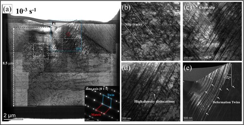 Figure 4. (a) STEM dark-field image of the microstructure beneath the indent at the strain rate of 10−3 s−1; lower right inset depicts the SADP of the area represented by the dashed red circle. The zone axis is [0 1 1]. Twin spots and streaking lines in SADP indicate the existence of deformation twins and stacking faults. (b), (c) and (d) are the magnified images of the region denoted by dashed rectangles in (a), revealing the presence of dislocations and deformation twins beneath the indent. (e) TEM dark-field image of the region represented by a dashed blue rectangle in (a) showing the morphologies of deformation twins.