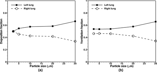 FIG. 14 Left vs. right lung (a) deposition and (b) ventilation of 2.5, 5, 10, 20, 30-μm particles.
