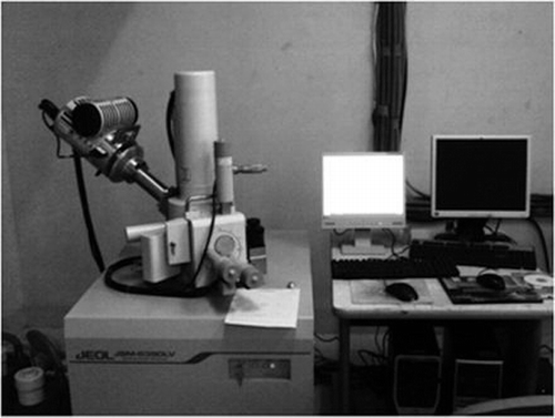 Figure 2. Scanning electron microscope (JEOL, Model JSM 6390LV, Japan).