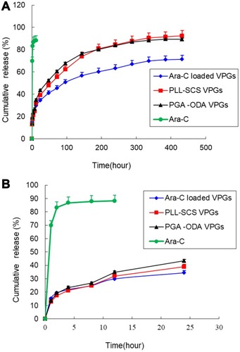 Figure 4 (A) In vitro drug release profiles of Ara-C, Ara-C loaded VPGs, PLL-SCS VPGs, and PGA-ODA VPGs in pH 7.4 PBS (n=3). The error bars represent the standard deviation. (B) In vitro drug release profiles of Ara-C, Ara-C loaded VPGs, PLL-SCS VPGs, and PGA-ODA VPGs in pH 7.4 PBS at the first 24 hours (n=3). The error bars represent the standard deviation.