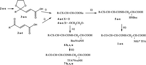 Scheme 3 Syntheses of new compounds. i) HOSu, DCC, ii) 1. NH2CH2CH(NHBoc)COONa, 2. H+, iii) TFA, iv) 1. NH2CH2CH(BocNvaNH)COONa, 2. H+.