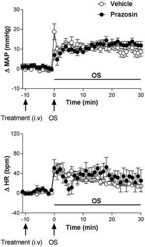 Figure 4. Time course curves of mean arterial pressure (ΔMAP) and heart rate (ΔHR) responses observed after acute OS i.p. injection (0.6 M NaCl) in animals pretreated with either vehicle (1 mL/kg i.v. n = 6) or prazosin (0.5 mg/kg, i.v. n = 5). Drugs were injected at the time -10 min. The onset of OS was at time 0 min. (*) indicates significantly different from control, Two-way ANOVA, P < 0.05.