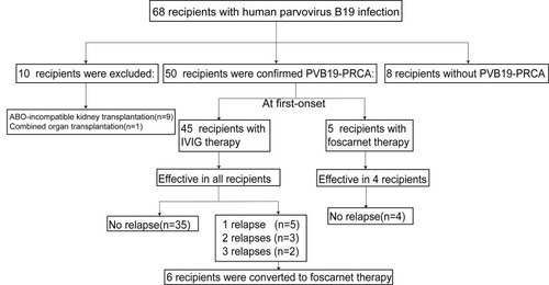 Figure 1 Final diagnosis of 68 patients for PVB19 infection between 2011 to 2019.